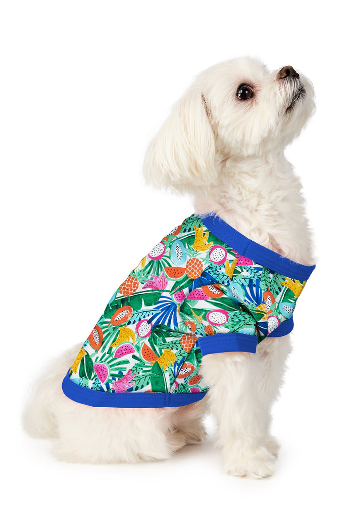 Tropical Fruits Stretch Jersey Dog Pajama