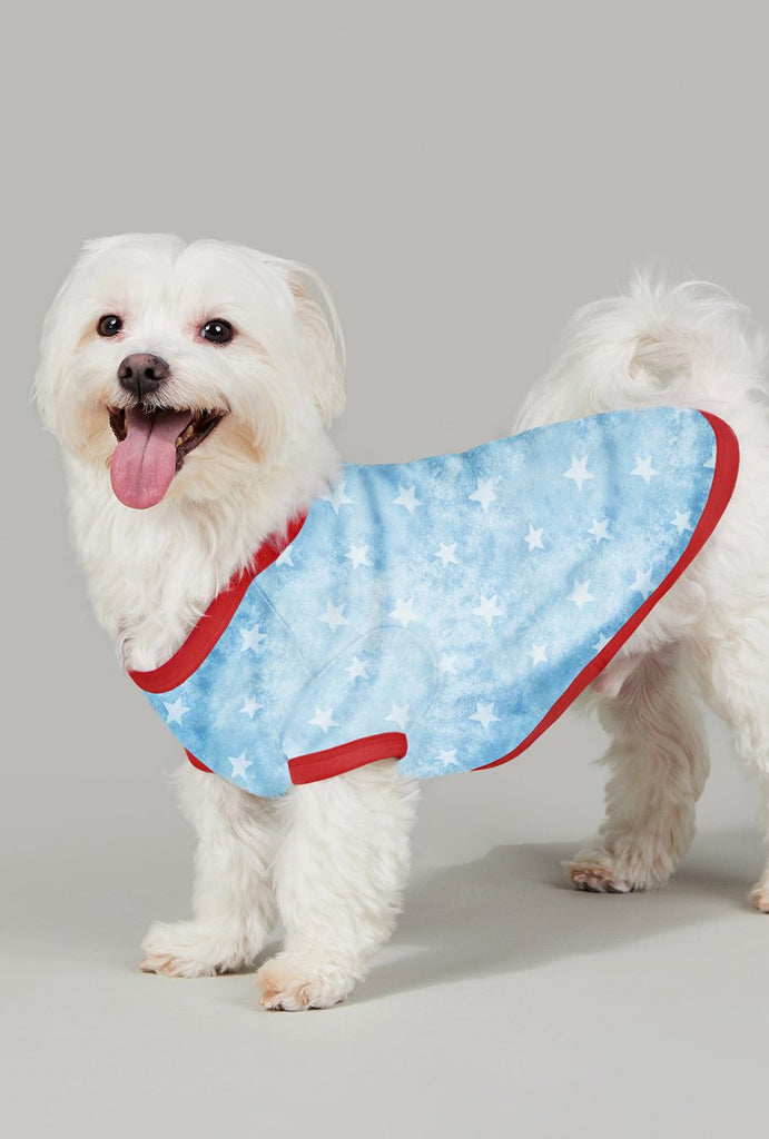 American Star Stretch Lounge Dog Pj