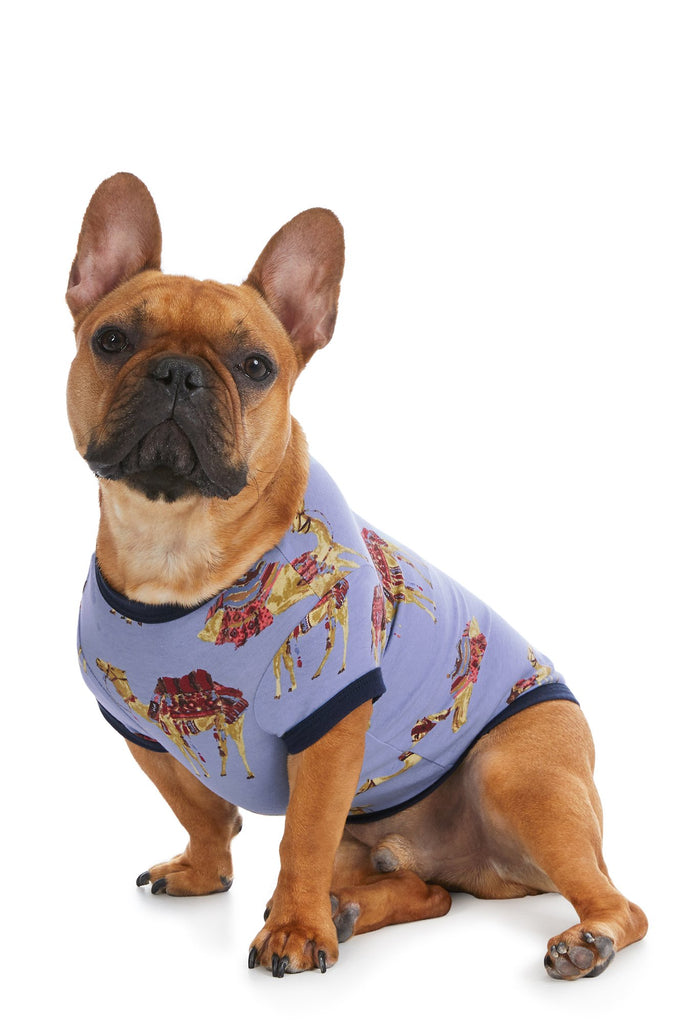 Caravan Stretch Lounge Dog Pj