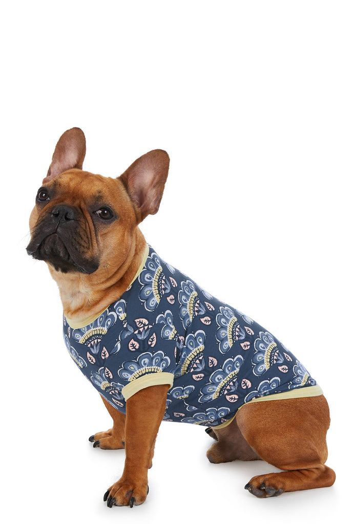 Pharaoh's Fan Stretch Lounge Dog Pj