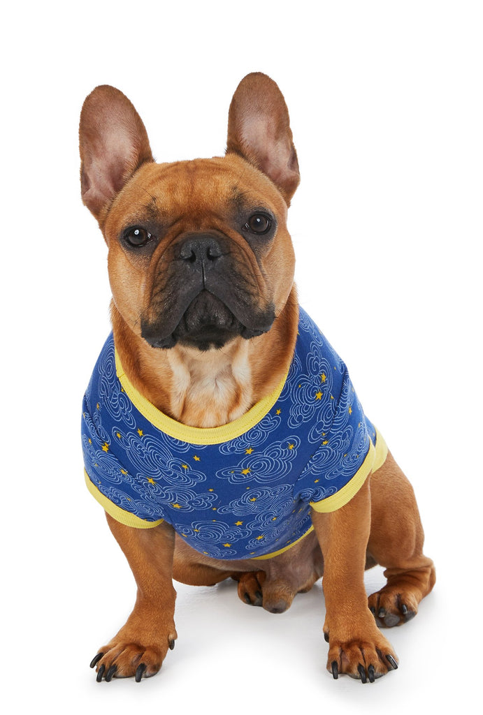 Star Swirl Stretch Lounge Dog Pj