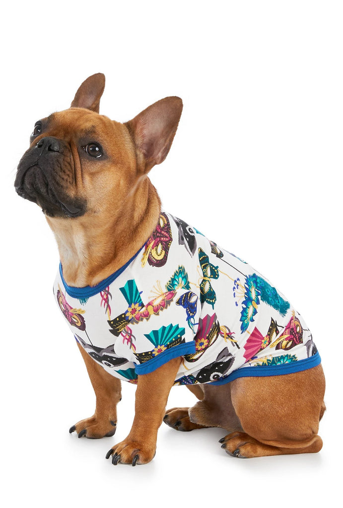 Masquerade Stretch Lounge Dog PJ