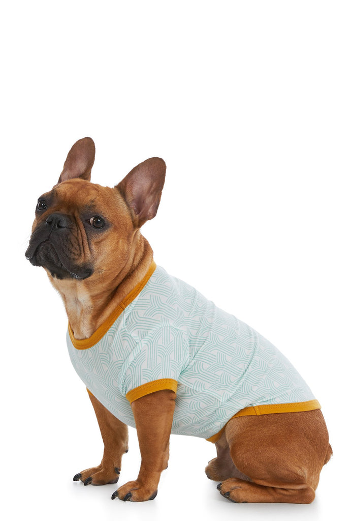 Arches Stretch Lounge Dog PJ