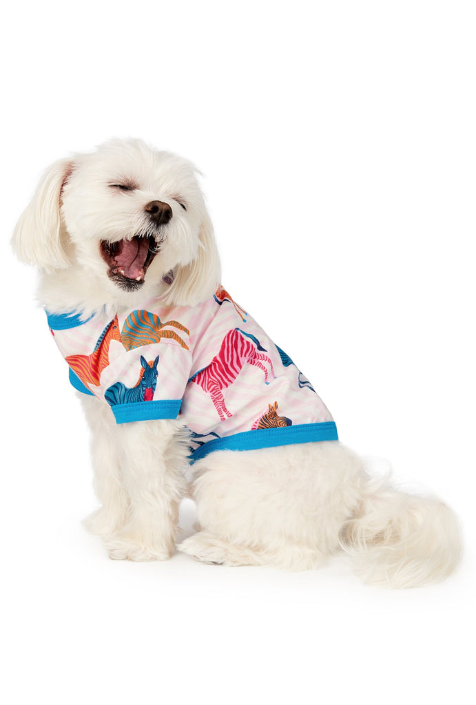 Read Between the Lines Stretch Jersey Dog Pajama