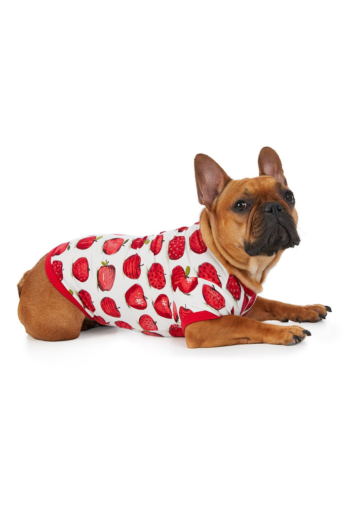 An Apple A Day Stretch Lounge Dog Pj