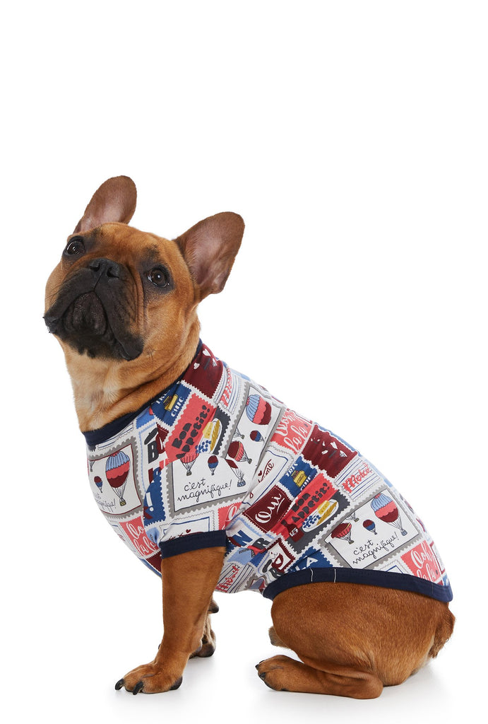 Special Delivery Stretch Lounge Dog Pj
